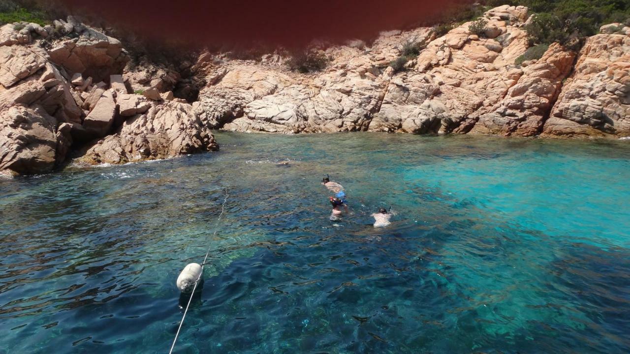 Grazioso Monolocale Villa Palau Bagian luar foto